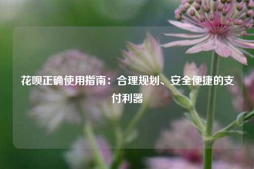 花呗正确使用指南：合理规划、安全便捷的支付利器