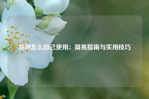 花呗怎么自己使用：简易指南与实用技巧