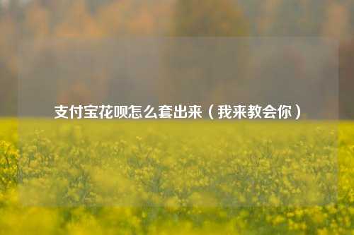 支付宝花呗怎么套出来（我来教会你）