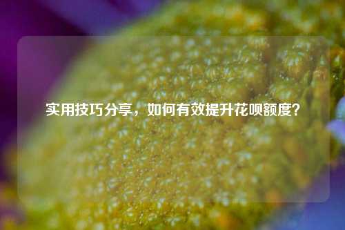 实用技巧分享，如何有效提升花呗额度？