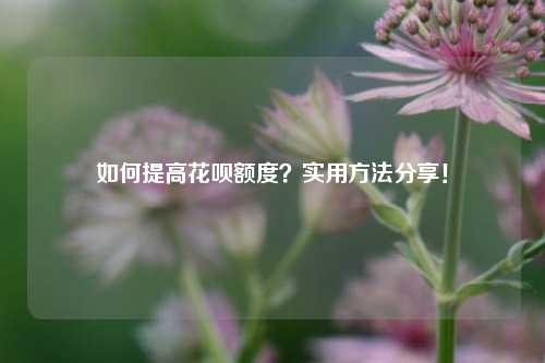 如何提高花呗额度？实用方法分享！