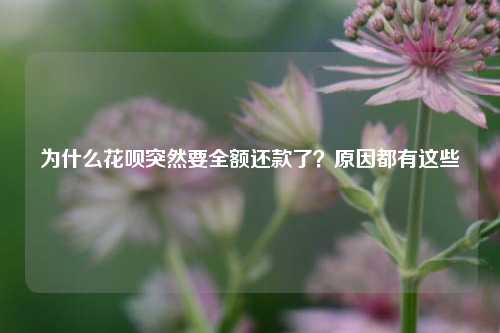 为什么花呗突然要全额还款了？原因都有这些