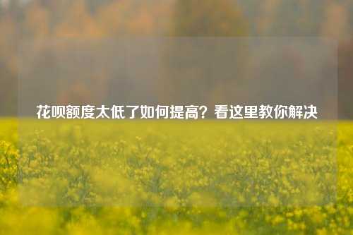 花呗额度太低了如何提高？看这里教你解决