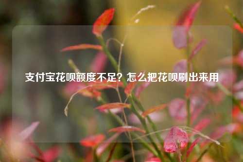 支付宝花呗额度不足？怎么把花呗刷出来用