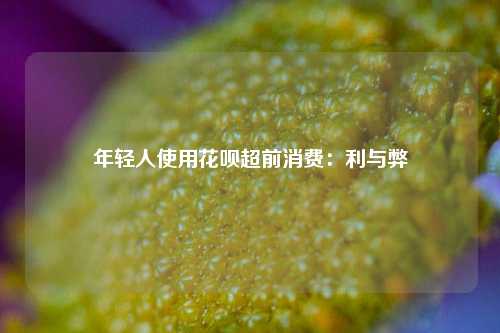 年轻人使用花呗超前消费：利与弊