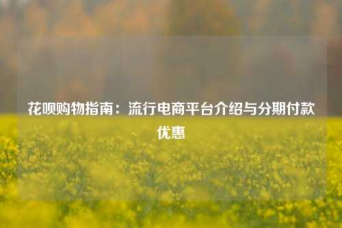 花呗购物指南：流行电商平台介绍与分期付款优惠