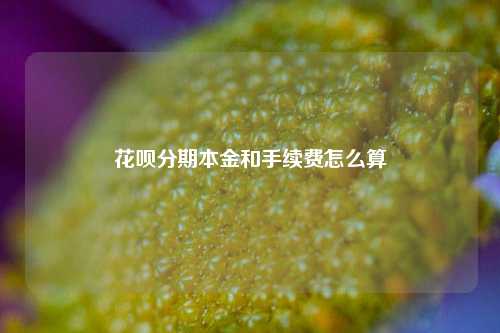 花呗分期本金和手续费怎么算