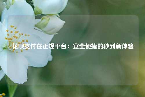 花呗支付在正规平台：安全便捷的秒到新体验