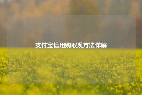 支付宝信用购取现方法详解