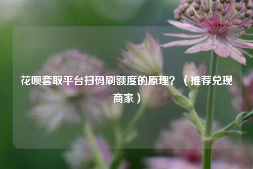 花呗套取平台扫码刷额度的原理？（推荐兑现商家）