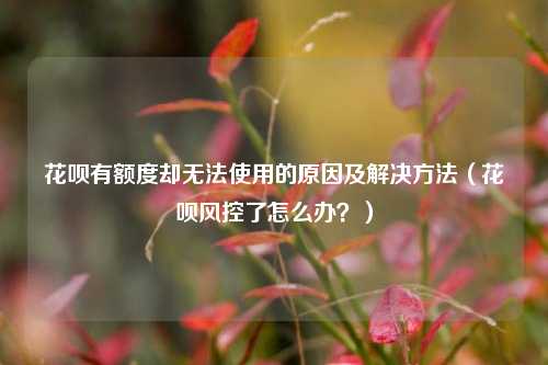 花呗有额度却无法使用的原因及解决方法（花呗风控了怎么办？）