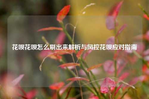 花呗花呗怎么刷出来解析与风控花呗应对指南