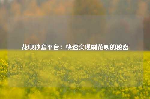 花呗秒套平台：快速实现刷花呗的秘密