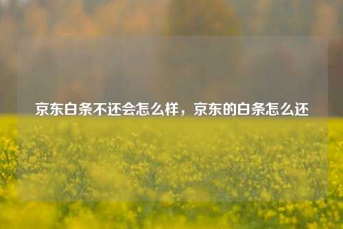 京东白条不还会怎么样，京东的白条怎么还