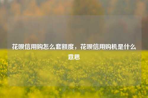 花呗信用购怎么套额度，花呗信用购机是什么意思