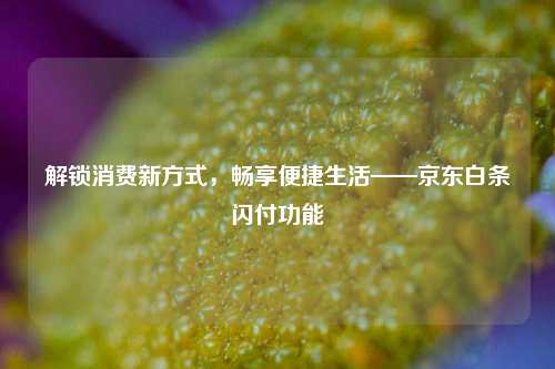 解锁消费新方式，畅享便捷生活——京东白条闪付功能