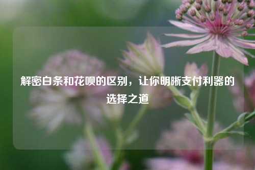 解密白条和花呗的区别，让你明晰支付利器的选择之道