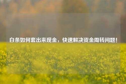 白条如何套出来现金，快速解决资金周转问题！