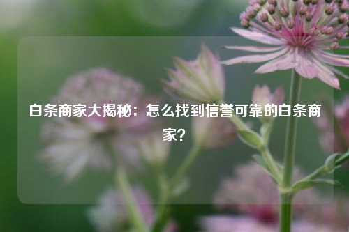 白条商家大揭秘：怎么找到信誉可靠的白条商家？