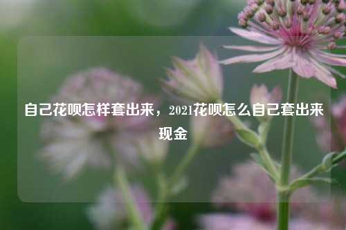 自己花呗怎样套出来，2021花呗怎么自己套出来现金