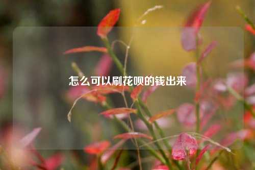 怎么可以刷花呗的钱出来