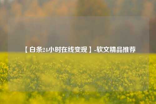 【白条24小时在线变现】-软文精品推荐