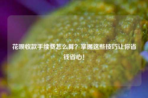 花呗收款手续费怎么算？掌握这些技巧让你省钱省心！