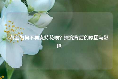 淘宝为何不再支持花呗？探究背后的原因与影响