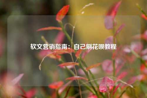 软文营销指南：自己刷花呗教程