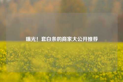 曝光！套白条的商家大公开推荐