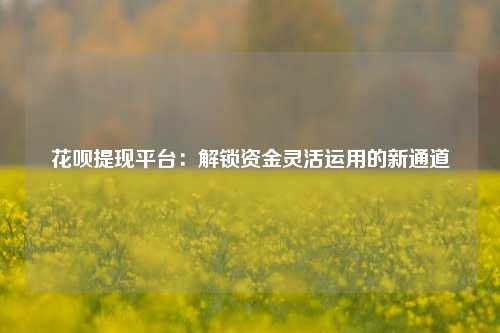 花呗提现平台：解锁资金灵活运用的新通道