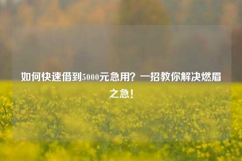 如何快速借到5000元急用？一招教你解决燃眉之急！