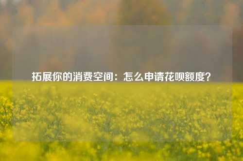 拓展你的消费空间：怎么申请花呗额度？