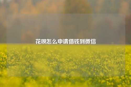 花呗怎么申请借钱到微信