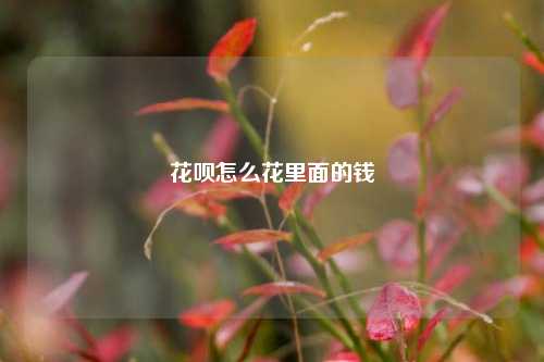 花呗怎么花里面的钱