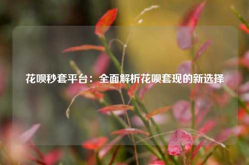 花呗秒套平台：全面解析花呗套现的新选择