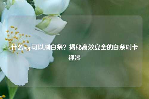 什么app可以刷白条？揭秘高效安全的白条刷卡神器