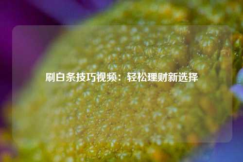 刷白条技巧视频：轻松理财新选择