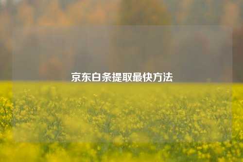 京东白条提取最快方法