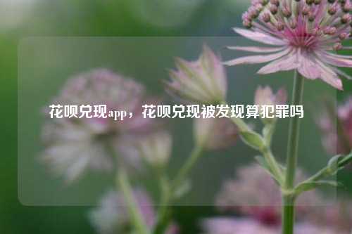 花呗兑现app，花呗兑现被发现算犯罪吗