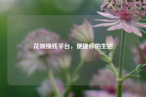 花呗换钱平台，便捷你的生活