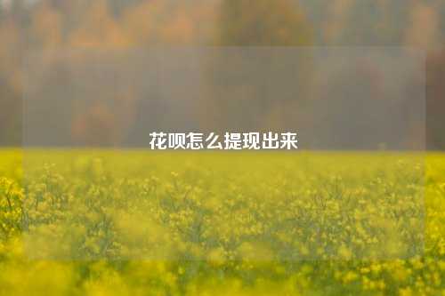 花呗怎么提现出来