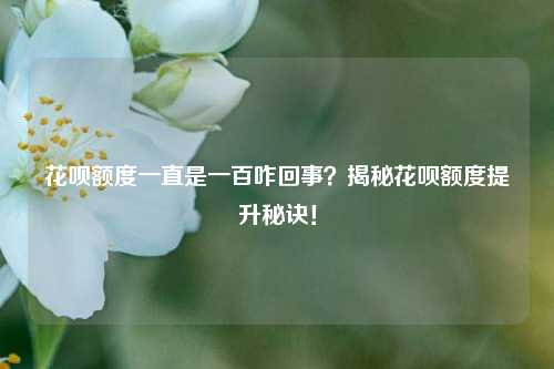 花呗额度一直是一百咋回事？揭秘花呗额度提升秘诀！