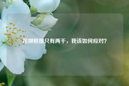 花呗额度只有两千，我该如何应对？