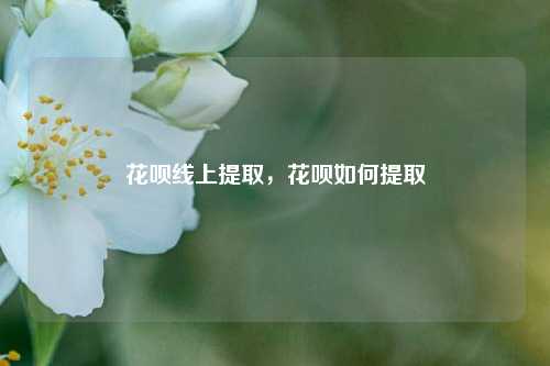 花呗线上提取，花呗如何提取